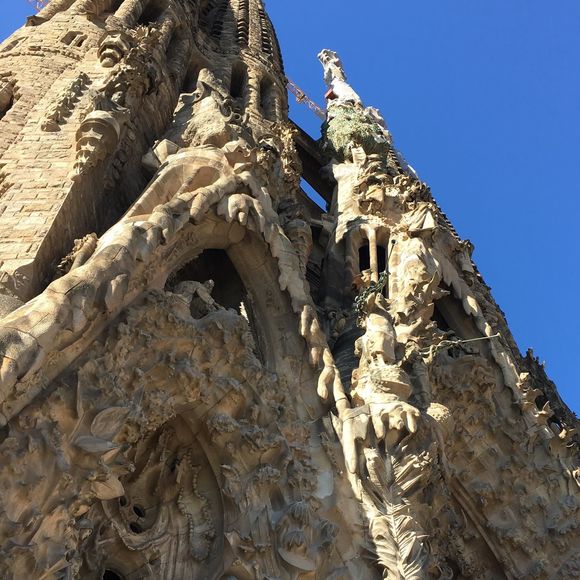 Meet your Posher, Rafael - Picture 1 of 1